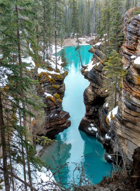 Touring the Icefields Parkway with Kids : Play Outside Guide Alberta Hikes, Yoho National Park Canada, Icefield Parkway, Banff Travel, Jasper National Park Canada, Vacation 2025, Jasper Canada, Rocky Mountaineer, Canadian Road Trip