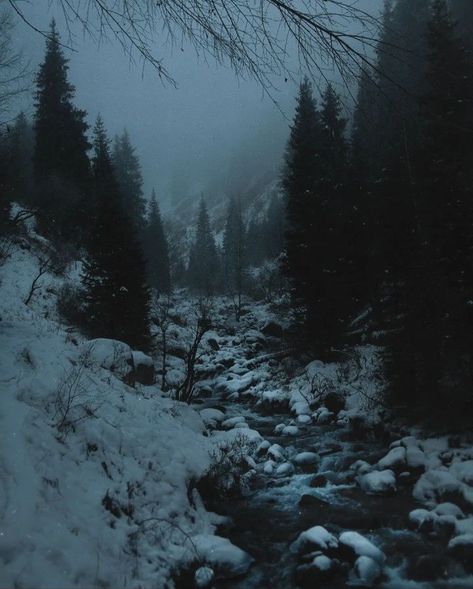 Snowy Gothic Aesthetic, Winter Horror Aesthetic, Blizzard Aesthetic Dark, Winter Scapes, Creepy Winter Aesthetic, Creepy Snowy Forest, Snow Goth Aesthetic, Winter Horror, Winter In The Woods