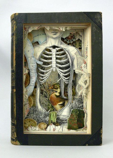 I love the way Cornell could make such interesting pieces out of so many things that were unrelated to each other! The ultimate art recycler! Shadow Box Kunst, Kunstjournal Inspiration, Altered Book Art, Shadow Box Art, Book Sculpture, Gcse Art, Arte Sketchbook, Assemblage Art, Anatomy Art