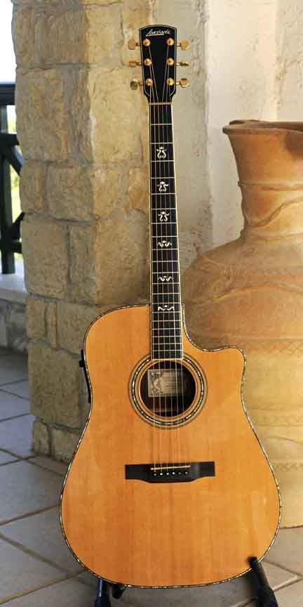 Larrivee Guitars, Taylor Guitars Acoustic, If I Won The Lottery, Taylor Guitars, Stringed Instruments, The Lottery, Acoustic Guitars, Cool Guitar, String Instruments