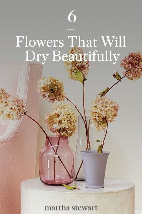 Before you bring any garden-variety bloom in to dry, check it against this list. These are six flowers that dry particularly well, according to our experts. #marthastewart #diydecor #diyprojects #diyideas #hobby How To Dry Out Flowers, Planting Ranunculus, Growing Ranunculus, Fall Container Plants, Lotion Bars Diy, Root Rot, Hydrangea Not Blooming, Autumn Decorating, Dry Well