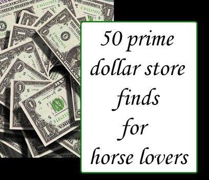 Equestrians and horsey gift shoppers can save plenty on gifts and supplies by picking up plenty of practical items at dollar stores and discount centers. Dollar Store Gifts, Dollar Store Finds, Barn Hacks, Horse Care Tips, Horse Info, Equestrian Helmet, Dollar Store Hacks, Dollar Store Christmas, Horse Tips