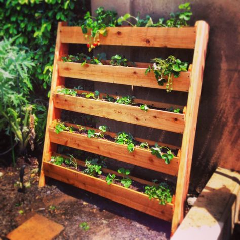 I built this vertical strawberry garden out of cedar fence pickets. Almost doubled my garden space. Pallet Herb Garden, Pallet Planters, Vertical Pallet Garden, Wood Pallet Planters, Herb Garden Pallet, Strawberry Planter, Pallet Gardening, Herb Garden Ideas, Strawberry Planters