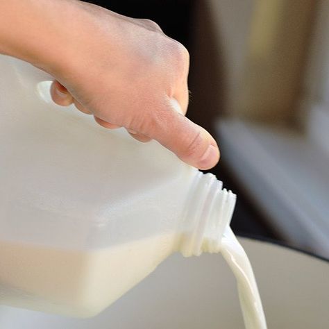 10 Ways to Use Up a Gallon of Milk  Tips from The Kitchn~T~Some very good ideas about how to use up milk so you never waste it. How To Use Milk Before It Expires, Excess Milk Recipes, What To Do With Extra Milk, Recipes To Use Milk Up, Recipes That Use Lots Of Milk, Recipes That Require A Lot Of Milk, Using Up Milk Recipes, Recipes With Lots Of Milk, Recipes With A Lot Of Milk