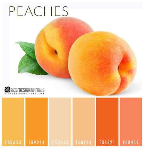 10 Bright Color Palettes Inspired by Delicious Fruits Bright Color Palettes, Peach Color Palettes, Peach Palette, Bathroom Paint, Bold Color Schemes, Bathroom Paint Colors, Color Palette Bright, Mutual Respect, Design Seeds