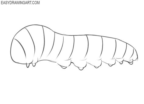 How to Draw a Caterpillar | Easy Drawing Art Catipiller Drawing, How To Draw A Caterpillar, How To Draw Caterpillar, Caterpillar Drawing Simple, Worm Drawing Easy, Catipillar Drawing, Caterpillar Sketch, Caterpillar Drawing, Worm Drawing