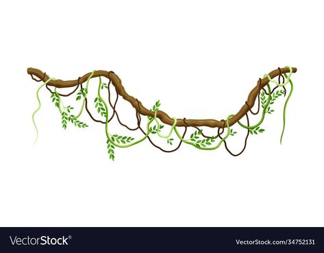 Nursery Drawing Ideas, Vine Illustration, Jungle Drawing, Branch Illustration, Lion Craft, Butterfly Art Painting, Green Magic, Driftwood Crafts, Tropical Rainforest