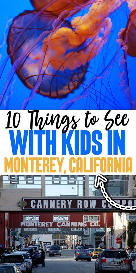 Great family travel ideas for things to see in Monterey, California with kids. Find out the best things to see from the Aquarium to Cannery Row. Northern California destination perfect for families. Family Travel Ideas, California With Kids, Cannery Row, Best Vacation Destinations, California Destinations, Monterey California, Best Vacation Spots, Monterey Ca, The Aquarium