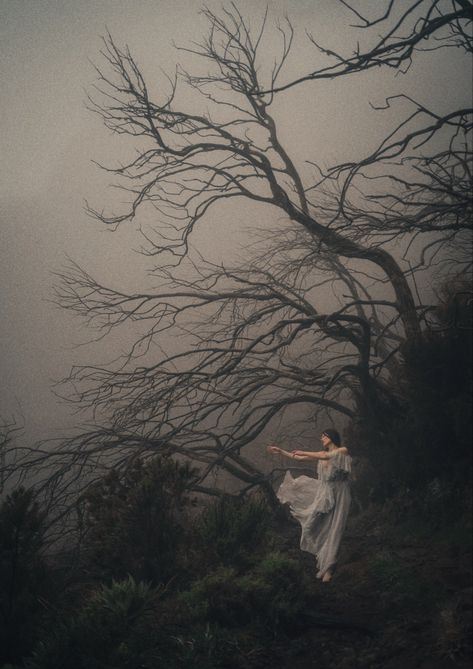 Forest Witch Aesthetic, Wild Feminine, The Minimalists, Moody Painting, Fairy Photoshoot, Change My Mind, May Day, Sacred Feminine, Feminine Art