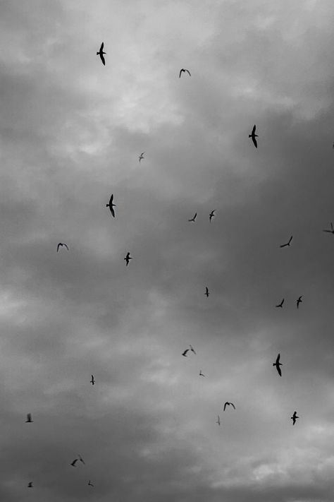 A dark moody vibe with birds Birds In The Sky, Beyond The Sea, Sky View, Dark Skies, The Sky, Birds, Art, Nature