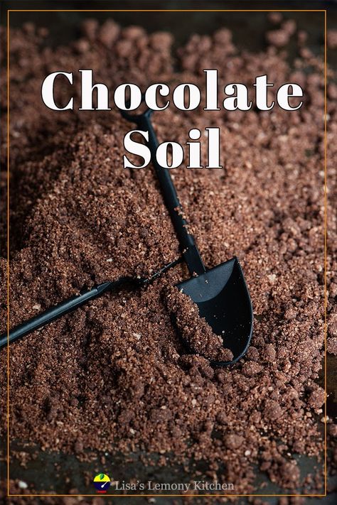 chocolate dirt Edible Soil Recipe, Edible Dirt For Cakes, Edible Dirt Recipe, Edible Dirt Sensory, Chocolate Soil Recipe, Edible Soil, Edible Dirt, Dirt Recipe, Moss Cake