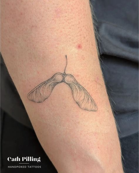 A little top-up for Hannah's sycamore seed. 🌱 I usually call them touch-ups, but really I hate that it sounds like groping 😫. I'll be calling them top-ups from now on, it sounds so much nicer, right?! I offer a free top-up within 6 months of having your tattoo if needed. Most tattoos don't require them but occasionally a bit more contrast or definition is needed. If you need one please drop me an email with photos, and I'll get you booked in. 🤗 🌿 Enquiries are OPEN until 25th June at 7pm ✨ Maple Seed Tattoo Meaning, Fine Line Tattoos After Years, Crab Apple Tree Tattoo, Tree Seed Tattoo, Sycamore Leaf Tattoo, Sycamore Seed Tattoo, Apple Slice Tattoo, Sycamore Tattoo, Helicopter Seed Tattoo