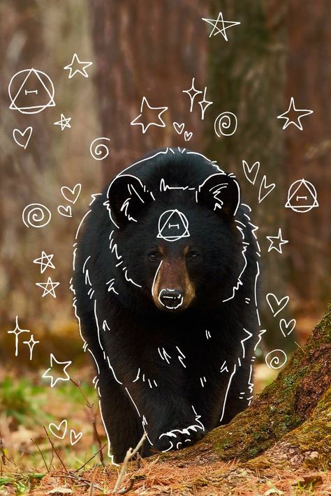 Bear Therian, Bear Pfp, Landseer Dog, Therian Wallpaper, Therian Art, Therian Pfp, Shiloh Shepherd, Dragon Moon, Maned Wolf