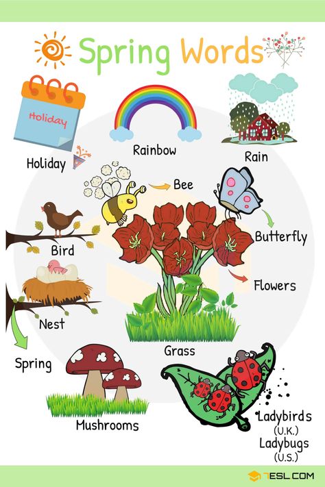 Spring Words in English | Spring Vocabulary with Pictures Spring Vocabulary, Seasons Worksheets, Describing Words, Spring Words, English Activities For Kids, Esl Vocabulary, Learning English For Kids, Descriptive Words, English Lessons For Kids