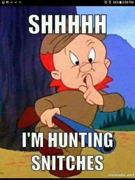 Snitch Quotes, Classic Cartoon Characters, Funny Cartoon Quotes, Cartoon Quotes, Twisted Humor, Cartoon Jokes, Sarcastic Quotes, Funny Cartoons, City Hall