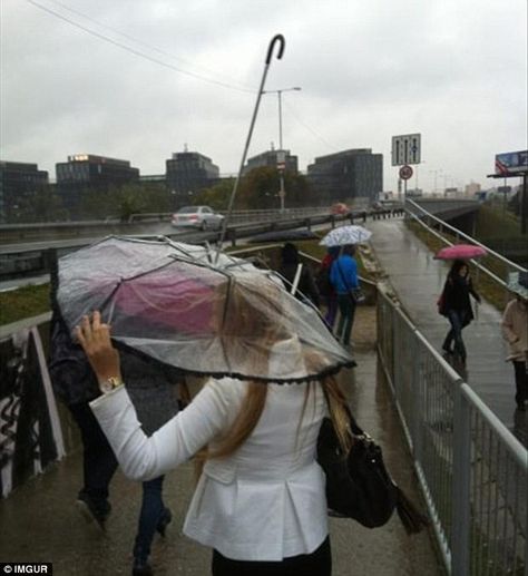 This woman may have a good reason for turning her umbrella on its head, but we're struggling to imagine what it might be Wrong Meme, Epic Fail Pictures, Blonde Kids, Bizarre Pictures, Weird Look, Funny Umbrella, Youre Doing It Wrong, Pictures Of The Week, Weird Pictures