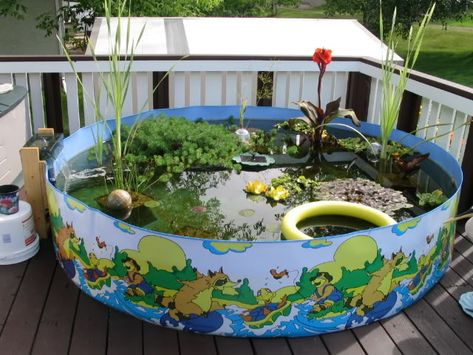 Kiddie Pool Pond, Turtle Tank Setup Ideas, Tank Setup Ideas, Tub Pond, Aviary Ideas, Turtle Tank Setup, Turtle Enclosure, Turtle House, 10 Gallon Fish Tank