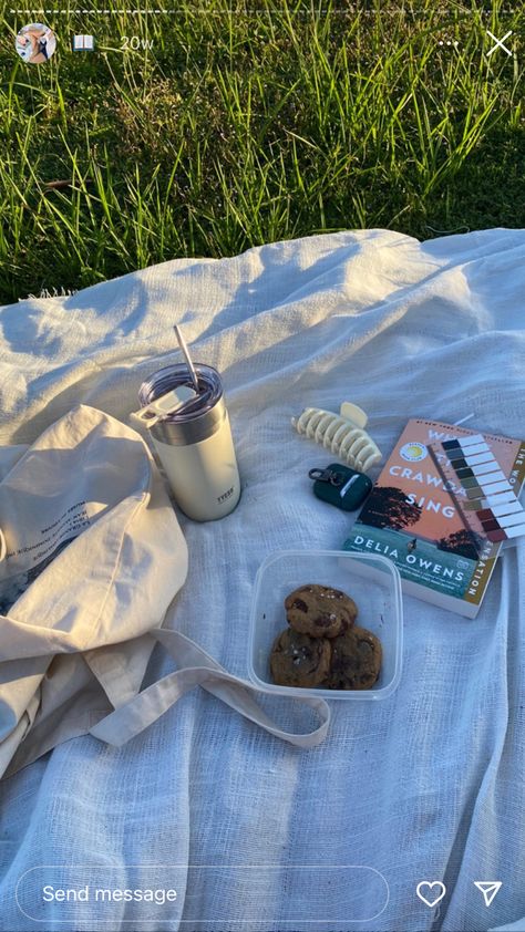 Picnic Aesthetic Instagram Story, Solo Picnic Aesthetic, Cozy Aesthetic Summer, Solo Picnic, Cozy Summer Aesthetic, Summer Staycation, Picnic Inspiration, Summer Dates, Summer Plans