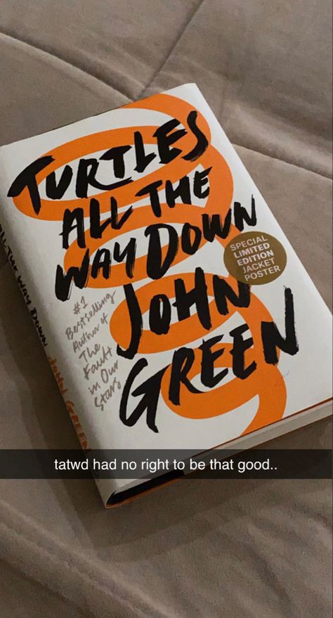 Turtles All The Way Down Aesthetic, Turtles All The Way Down, John Green Turtles All The Way Down, Balled Of Song Birds And Snakes Book Cover, John Green Book Quotes, On Earth We're Briefly Gorgeous Book Cover, Turtles All The Way Down Book Cover, Orange Book, John Green Books