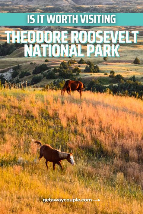 Tucked away in North Dakota, you might wonder if it's worth visiting Theodore Roosevelt National Park. Well, it is and here's what to do. Is It Worth Visiting Theodore Roosevelt National Park? Roosevelt National Park, Theodore Roosevelt National Park, Buying An Rv, Badlands National Park, Rv Living Full Time, Full Time Rv, Camping Locations, Theodore Roosevelt, Memorial Park