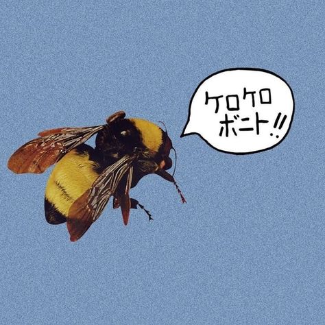 #tylerthecreator #albumcovers #oddfuture Tyler The Creator Flowers, Save The Bees, Tyler The Creator, Bee, The Creator, Flowers