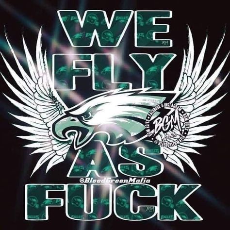 Eagles Memes, Philadelphia Eagles Art, Philadelphia Eagles Shoes, Eagles Poster, Eagles Quotes, Philadelphia Eagles Wallpaper, Eagles Football Team, Cowboys Memes, Philly Football