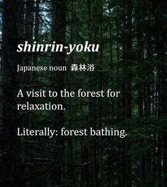 Shinrin-Yoku ~ A visit to the forest for relaxation. Literally: Forest bathing. Forest Words, Relaxing Quotes, Bath Relaxing, Words Meaning, Relax Quotes, Shinrin Yoku, Uncommon Words, Forest Bathing, Weird Words