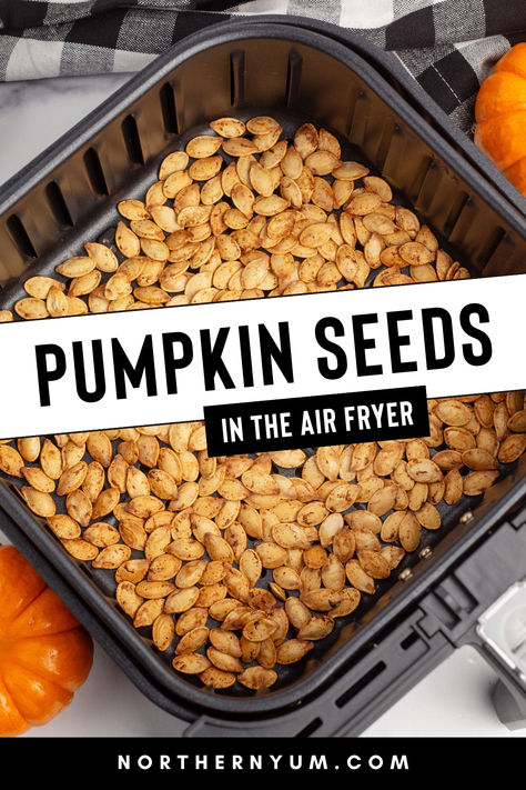 Roasted Pumpkin Seeds in the Air Fryer Airfryer Pumpkin Seeds, Air Fryer Pumpkin Seeds, Seasoned Pumpkin Seeds, Keto Apps, Air Fryer Pumpkin, Seed Recipes, Pumpkin Seed Recipes, Airfryer Recipes, Toasted Pumpkin Seeds