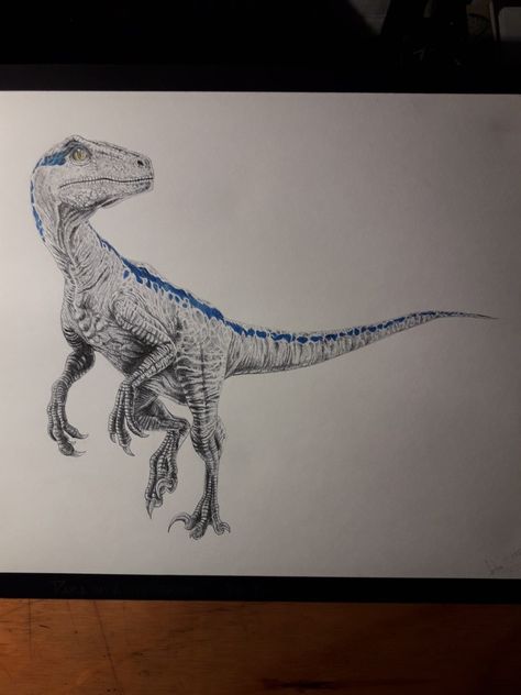 Blue Raptor Tattoo, Tattoo 2022, Dinosaur Island, Blue Jurassic World, Tattoo Time, Dinosaur Tattoos, Blue Tattoo, Cute Little Tattoos, Redmi 9