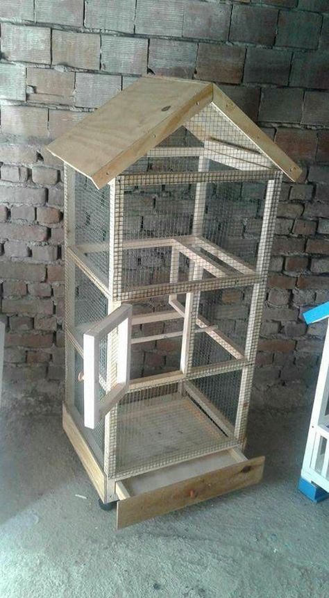 Nesting Boxes Diy, Pigeon Loft Design, Diy Cat Enclosure, Diy Bird Cage, Bird Cage Design, Backyard Birds Sanctuary, Diy Bird Toys, Pet Bird Cage, Butterfly Habitat