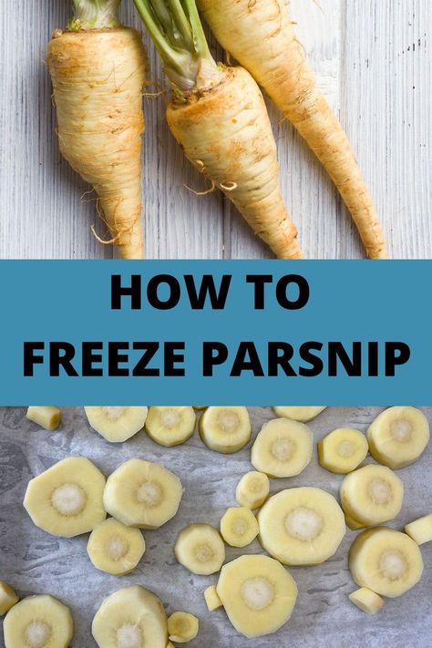 Canning Parsnips, How To Freeze Vegetables From Garden, Freezing Parsnips, Freezer Preserving, Baked Parsnips, How To Cook Parsnips, Carrot And Parsnip Recipe, Freezing Produce, Freezing Veggies