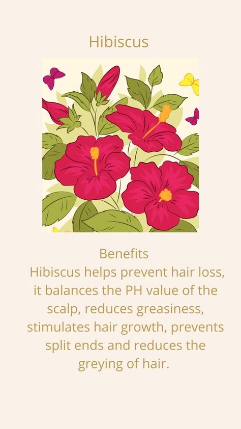 Hibiscus Flower Benefits, Hibiscus For Hair, Hair Oil Products, Hair Damage Repair, Oil For Dry Hair, Hair Fertilizer, Before And After Hair, Grow Thicker Hair, Beauty Salon Posters