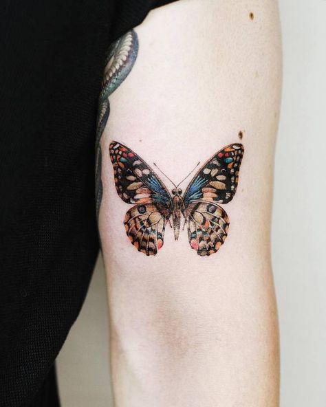 Butterfly Color Tattoo Design, Butterfly Tattoo In Arm Crease, Butterfly Tattoo Bicep For Women, Pinned Butterfly Tattoo, Microrealism Butterfly Tattoo, Back Of Arm Butterfly Tattoo Women, Real Butterfly Tattoo, Pretty Cover Up Tattoos For Women, Boho Butterfly Tattoo