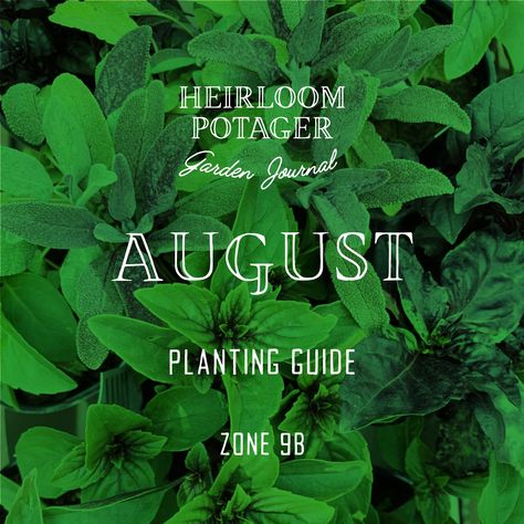 Garden Guides Archives - Heirloom Potager August Planting, Garden Planting Ideas, Flower Planting Guide, Zone 9b, Planting Guide, Herbs And Flowers, Planting Ideas, Potager Garden, Garden Plans