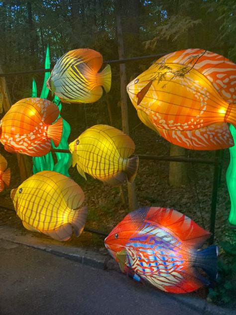 Aesthetic Fish, Summer Lights, Fish Lanterns, Paper Lanterns, Art Class, Lamp Shades, Paper Mache, Halloween Ideas, Art Classes