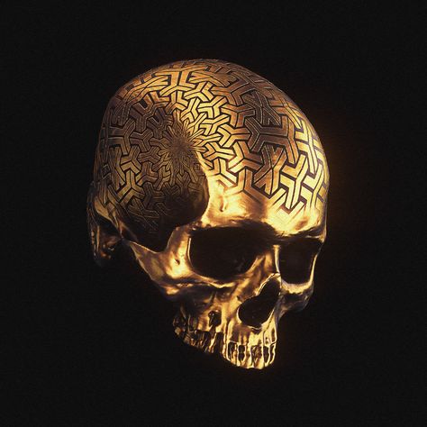 Black And Gold Aesthetic, Skull Reference, Money Spell, Gold Skull, Get A Life, Gold Aesthetic, Human Skull, Skull And Bones, Memento Mori