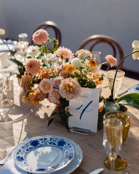 Tropical Boho Wedding at San Diego Botanic Gardens — Bluebell Florals Tropical Boho Wedding, San Diego Botanic Garden, Tropical Boho, Wedding Vision, Wedding Palette, Coastal Wedding, Botanic Gardens, San Diego Wedding, Event Catering