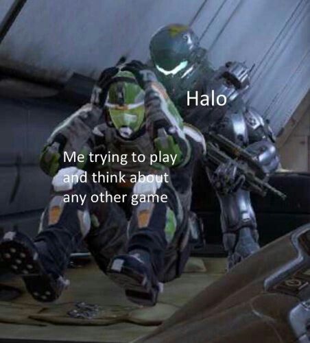 A Halo meme that only true Halo fans will understand Funny Halo Memes, Halo Aesthetic, Halo Meme, Halo Grunt, Halo Funny, Halo Backgrounds, Halo Video Game, Lego Titanic, Halo Spartan