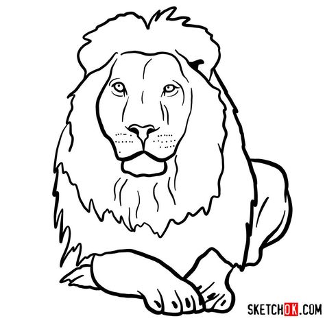 How to draw a Lion head | Wild Animals Lion Drawing Simple, Draw A Lion, Wild Animals Drawing, Lion Sketch, Eagle Wall Art, Animal Outline, Elephant Coloring Page, Lion Drawing, Animal Drawings Sketches