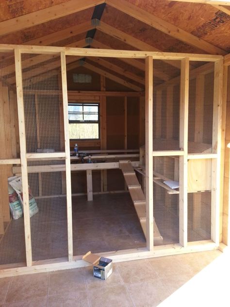 Chicken Kennel Ideas, Chicken Coop And Pig Pen, Garden Shed Chicken Coop Ideas, Chicken Coop Add On To Shed, Chicken Coop Designs Shed, Chicken Coop Inside Shed, Shed Into Duck Coop, Chicken Coop Shed Plans, Diy Metal Chicken Coop