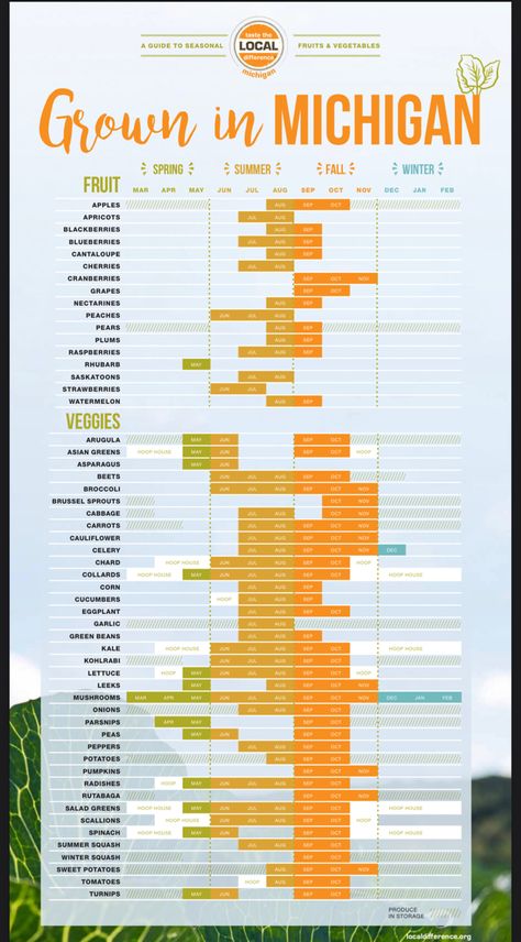 Homesteading In Michigan, Michigan Planting Calendar, Michigan Vegetable Garden, Gardening In Michigan, Vegetable Growing Chart, Homesteading Knowledge, Michigan Garden, Broccoli And Brussel Sprouts, Vegetable Chart