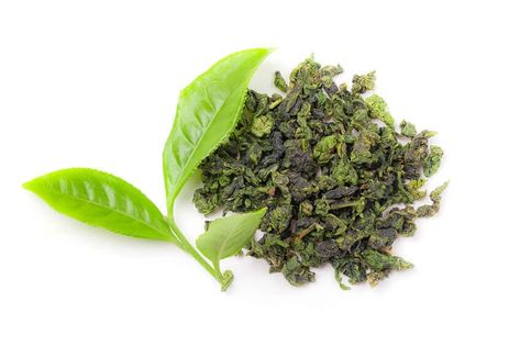 Green Tea Extract: Top Health Benefits For A Healthy Lifestyle | Gundry MD What Is Green Tea, Orange Muffin Recipe, Lectin Free Diet, Olive Oil Benefits, Free Diet Plans, Cranberry Orange Muffins, Healthy Substitutions, Green Tea Benefits, Leek Soup