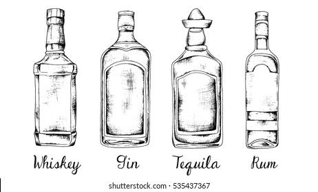 Alcohol set: whiskey, gin, tequila, rum. Sketch style vintage illustration. Liquor Bottle Drawing, Bottle Tattoo, Bottle Drawing, Watercolor Portrait Painting, Rum Bottle, Recipe Scrapbook, Food Sketch, Tequila Bottles, Gin Bottles