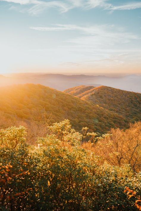 How to Spend A Weekend In Asheville, NC - Madelyne on the Move Asheville Nc Mountains, Asheville North Carolina Aesthetic, Asheville Nc Aesthetic, Asheville Aesthetic, Hopeful Aesthetic, Waterfalls In North Carolina, Spooky Board, Taco Pictures, Ashville North Carolina