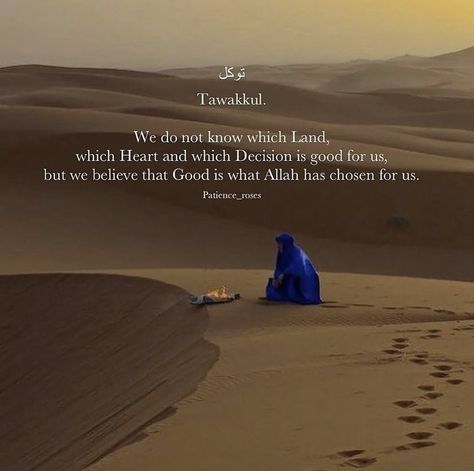 Short Romantic Quotes, Dua Islam, Trust In Him, Short Islamic Quotes, Poetic Words, Beautiful Quran Verses, Love In Islam, Beautiful Status, Allah Love