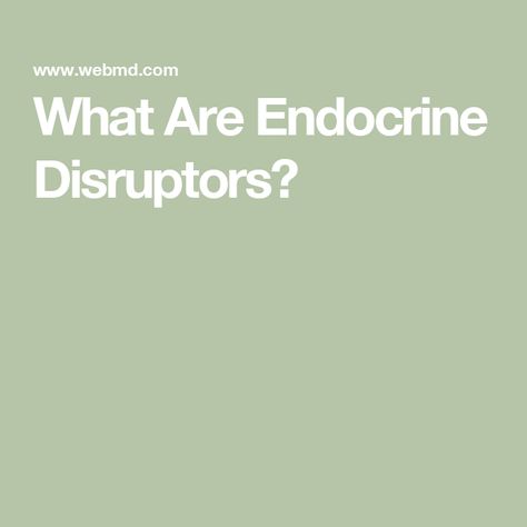 What Are Endocrine Disruptors? Endocrine Disruptors, Natural Hormones, Endocrine System, Food Store, Food Storage Containers, Chemicals, Healing, Health