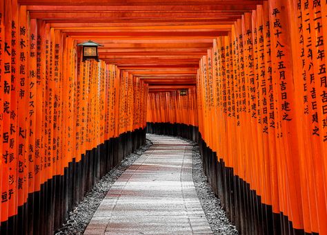 Most Beautiful Places to Visit in Japan - Thrillist Kapal Feri, Andy J Pizza, Shirakawa Go, Beautiful Places In Japan, Kyoto Japan Travel, Fushimi Inari Taisha, Fushimi Inari, Beppu, Torii Gate