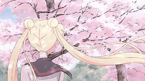 Sailor Moon Gif, Cute Gifs, Gif Background, Cherry Blossom Trees, Arte Sailor Moon, Sailor Moon Usagi, Sailor Moon Aesthetic, Moon Wallpaper, Sailor Moon Wallpaper