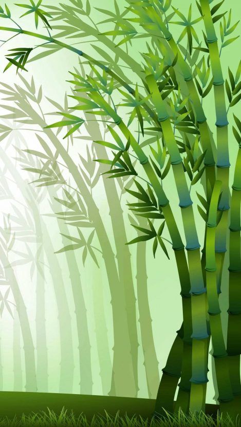 Trees Background, Bamboo Background, Bamboo Wallpaper, Background Painting, Artistic Wallpaper, Bamboo Art, Verre Design, Bamboo Tree, Smartphone Wallpaper