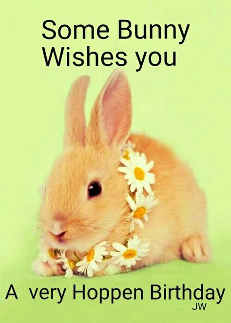 Happy Birthday Rabbit Bunnies, Bunny Birthday Wishes, Happy Birthday Honey, Birthday Wishing, Funny Happy Birthday Images, Birthday Bunny, Birthday Memes, Bunny Images, Happy Birthday Wishes Images